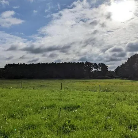 Am Vordersee, Dobbrikow