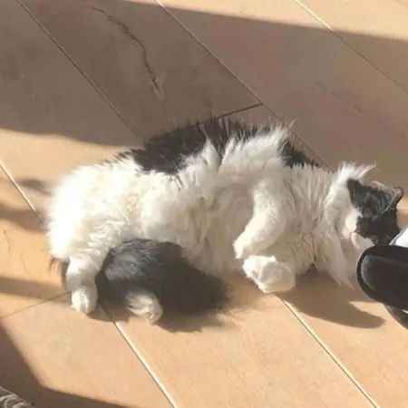 Am Vordersee, Дом отдыха *