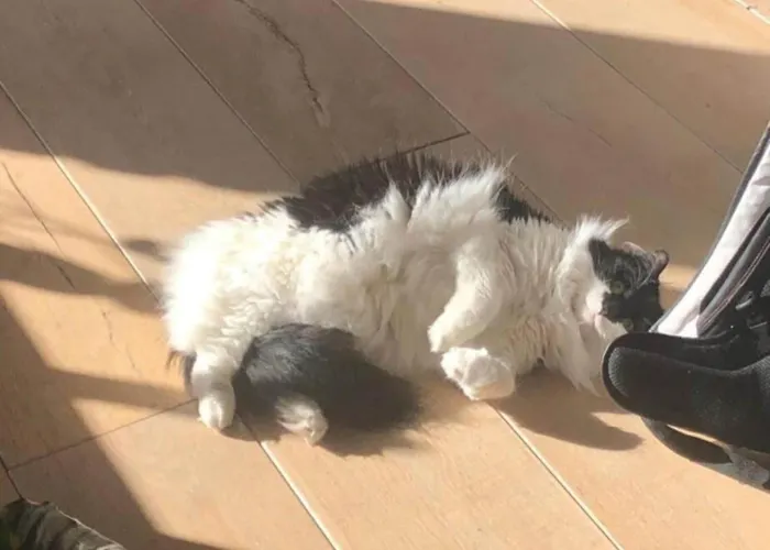 Am Vordersee, Holiday home *